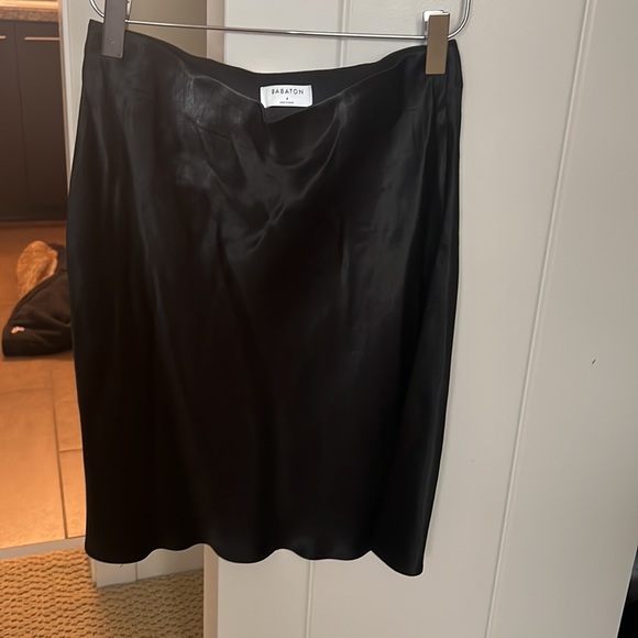 Babaton mini silk skirt - Picture 2 of 2